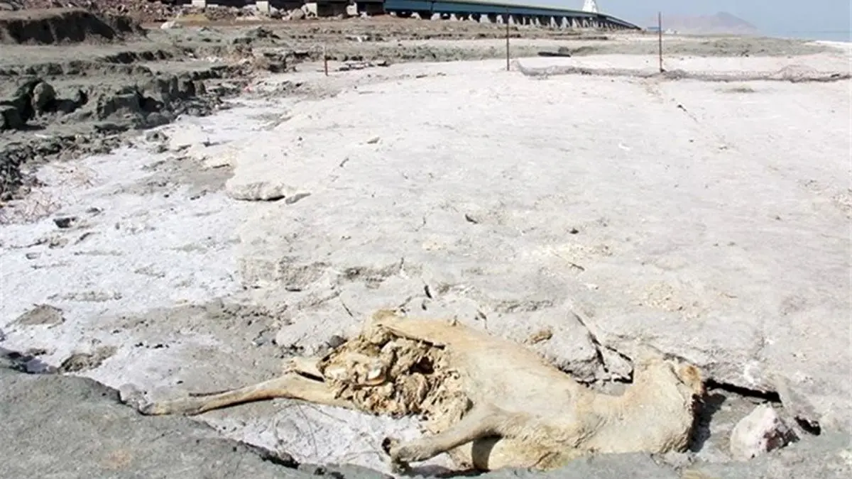 پلیس آب ایجاد شود