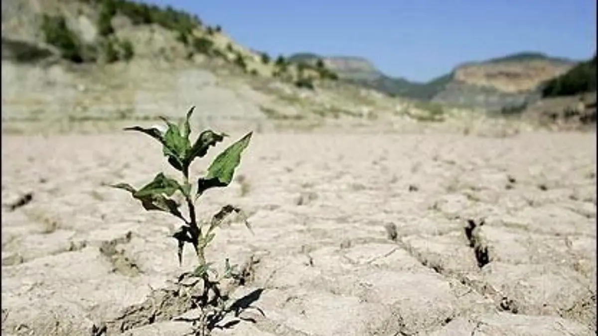 ایران درحال خشک‌شدن است/ استان‌های شمالی ایران دچار خشکسالی شده‌اند
