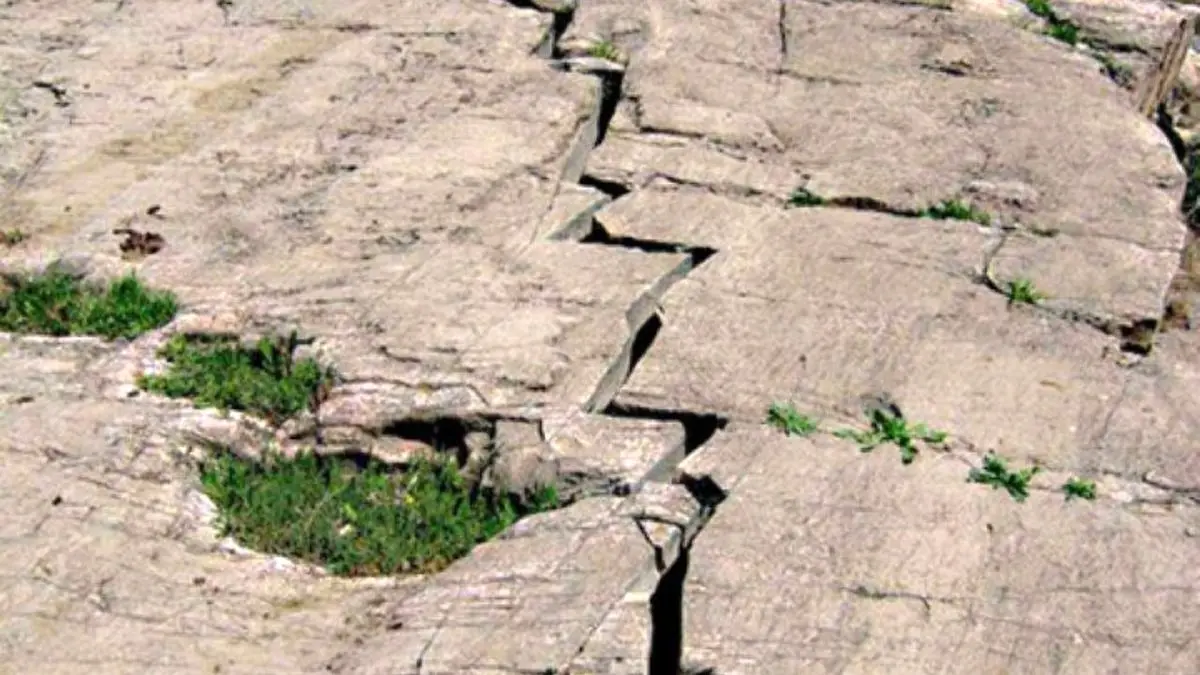 وجود 50 گسل فعال زلزله در استان فارس