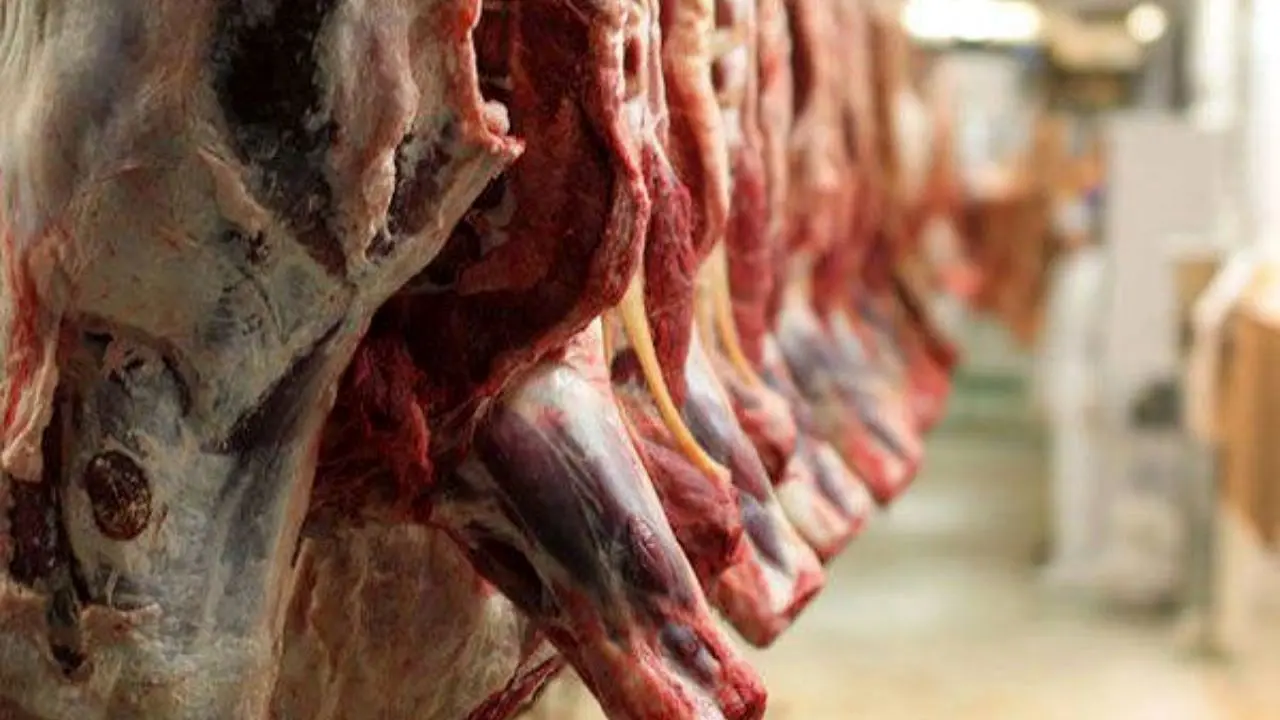 توزیع گوشت 33 هزار تومانی در کرج