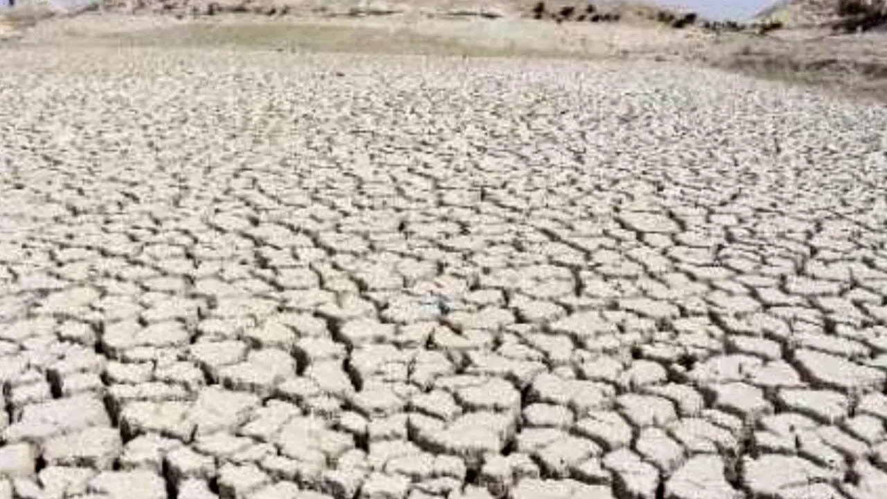 تشدید خشکسالی در جنوب شرق/ روند کاهش بارندگی در سیستان و بلوچستان 30 ساله شد