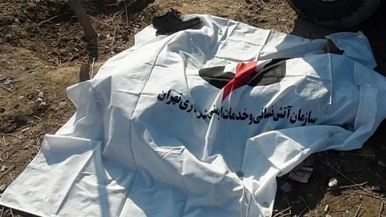 کشف جسد فاسده شده در فضای سبز اتوبان فتح