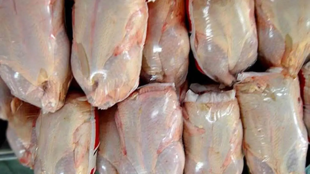 توزیع مرغ منجمد در بازار هرمزگان 