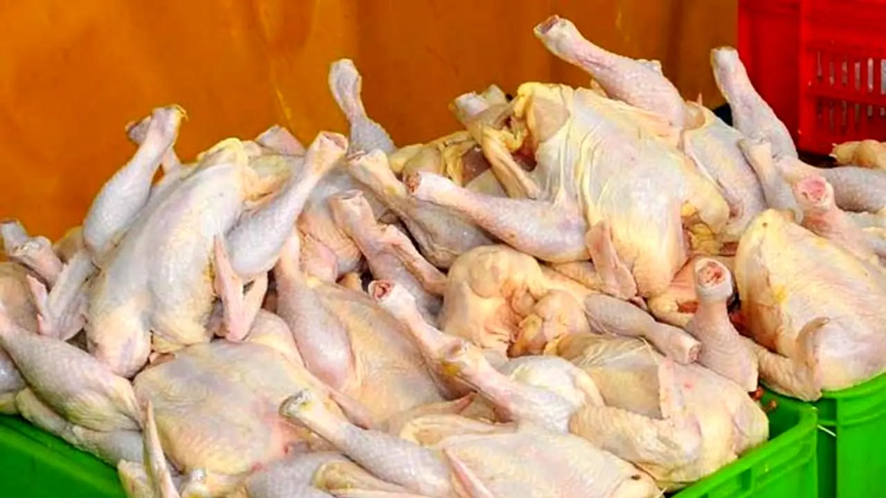 فروش مرغ بیش از 8200 تومان تخلف است/ عرضه مرغ‌های دولتی در بازار