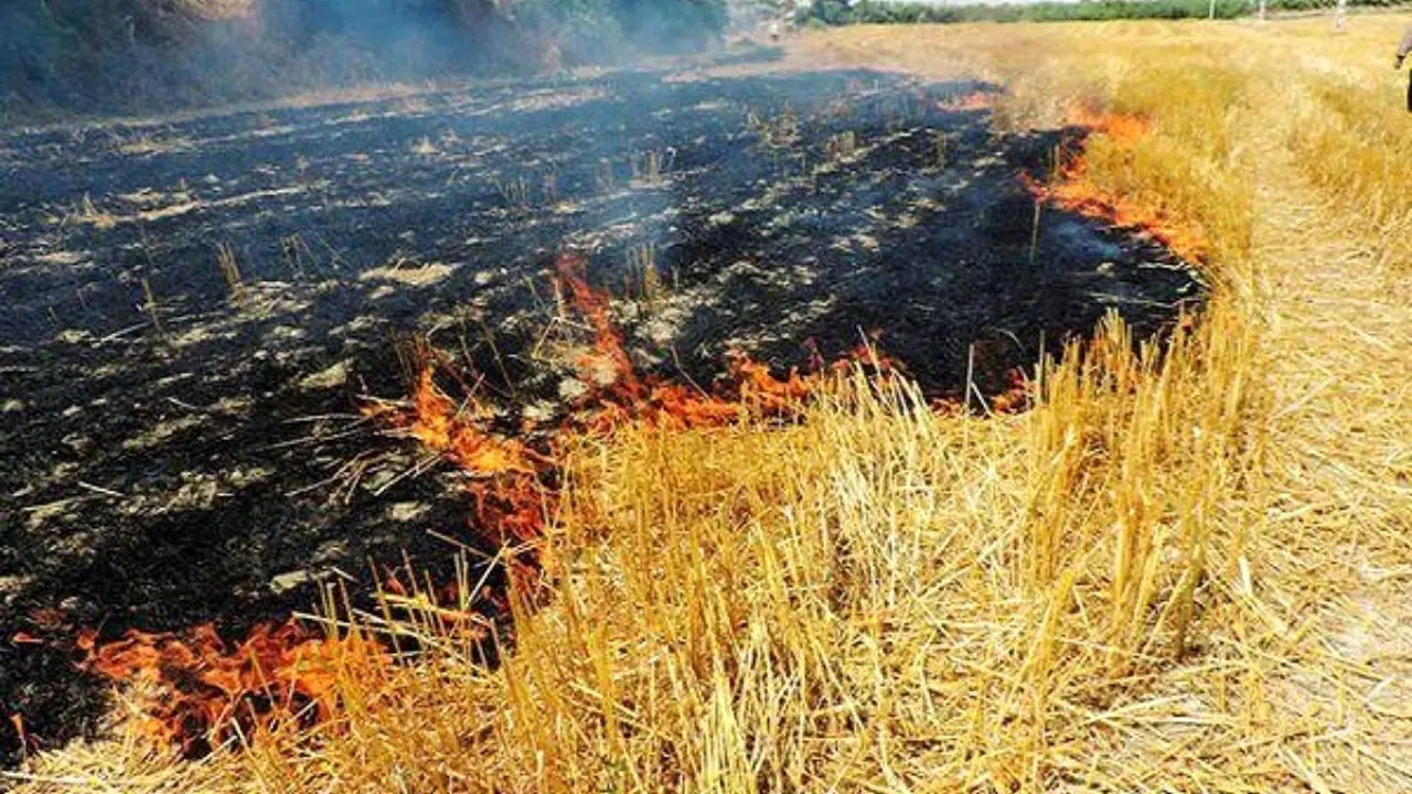 5 هکتار از اراضی ملی در آتش سوخت