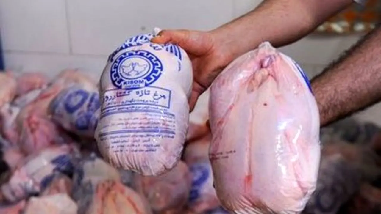 مرغ منجمد دولتی در بازار به وفور یافت می‌شود