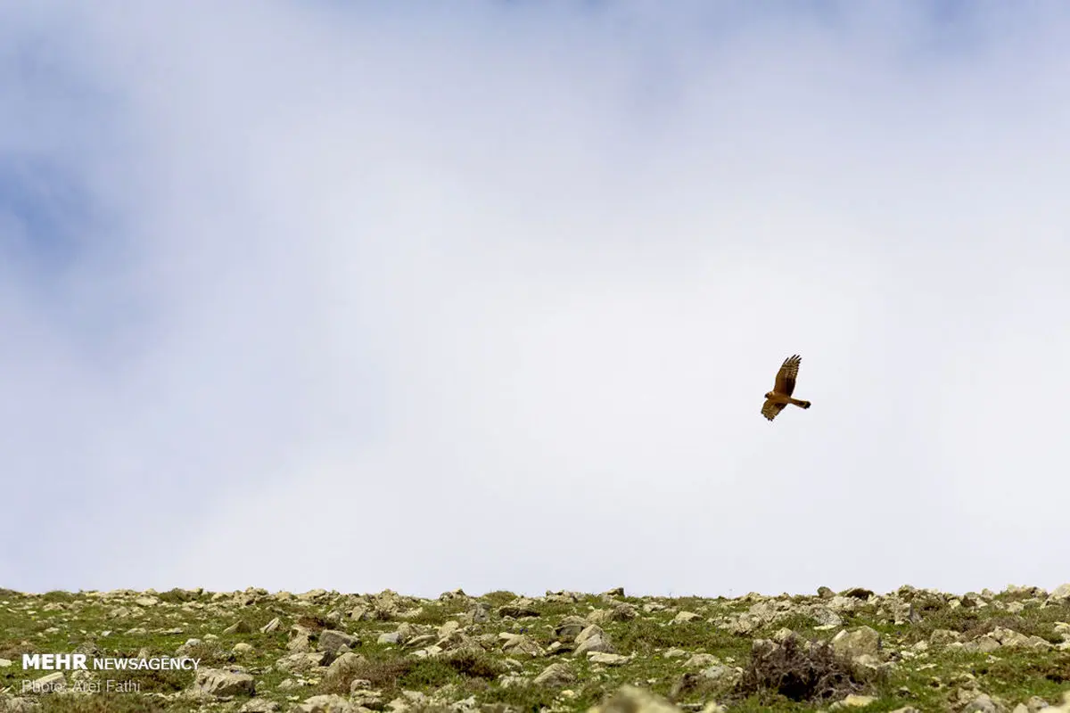 مناظر زیبای ماسال