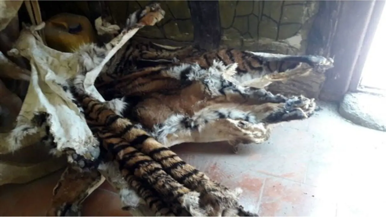 وضعیت باغ‌وحش وکیل‌آباد همچنان در ابهام