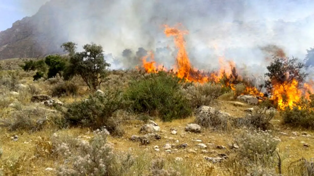 آتش سوزی در منطقه حفاظت شده «بیستون»