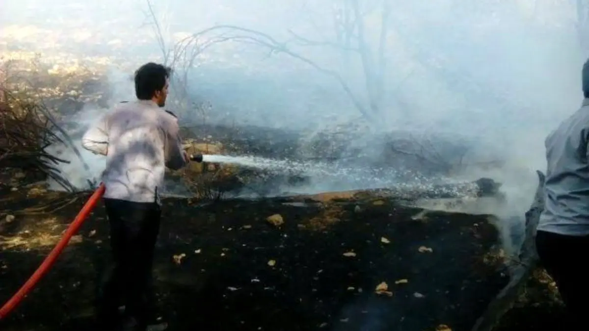 آتش‌سوزی 2 هکتار از باغات مهار شد