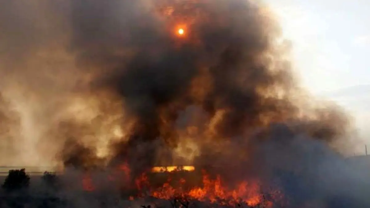 مهار آتش‌سوزی در تنهای جزیره ایرانی دریای خزر