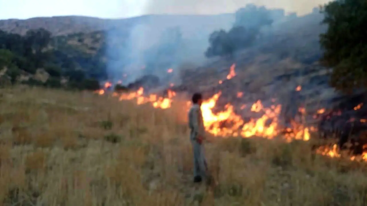 آتش سوزی در مراتع مریوان /3 کشته و مصدومیت 9 نفر از اهالی محلی