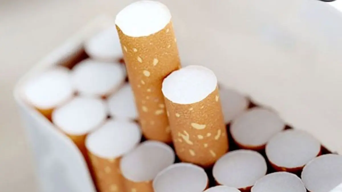 اجرای طرح رهگیری دخانیات از 2 ماه دیگر/ افزایش صادرات 105 درصدی تنباکو معسل(میوه ای)/ مجوز تولید سیگار صادر نخواهد شد