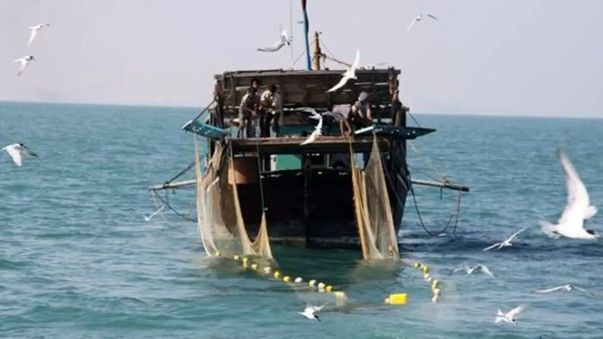 ذخایر فانوس ماهیان دریای عمان چهار میلیون تن است