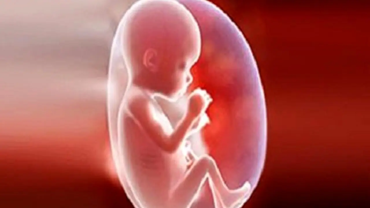 مراجعه 718 نفر برای دریافت مجوز سقط درمانی