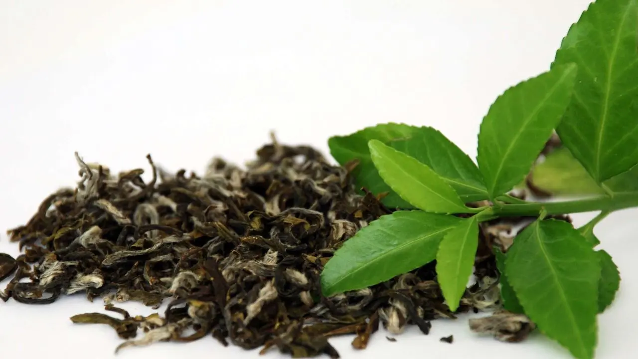 التهاب در بازار چای با ممنوعیت کوتاه‌مدت صادرات/ وزارت صمت سنگ‌اندازی می‌کند