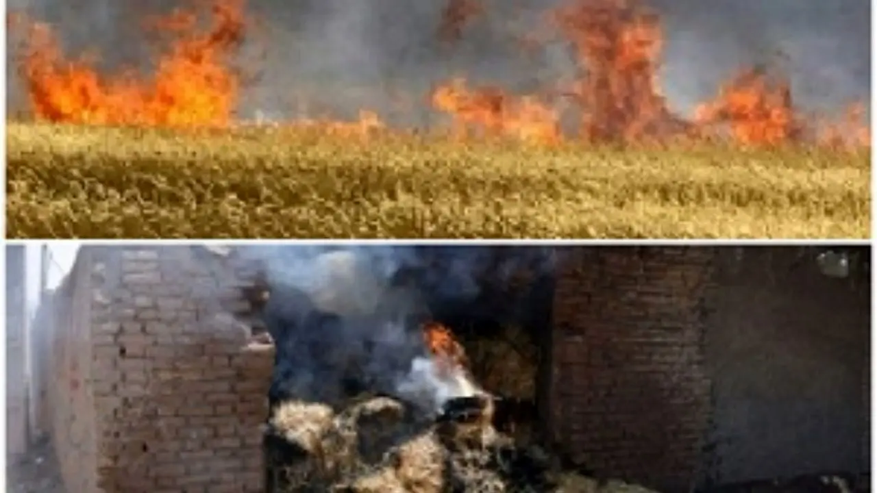 سوختن 20 هکتار از مزارع گندم شازند در آتش/ آتش سوزی انبار ذخیره علوفه در فراهان