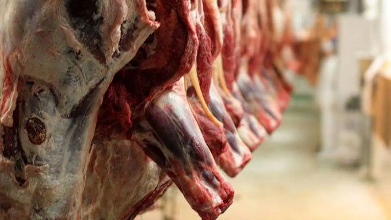 آغاز مرحله جدید طرح تنظیم بازار «گوشت قرمز» 