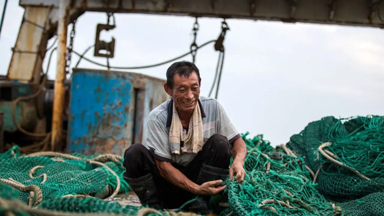 صید کشتی‌های چینی مرجان‌های دریای عمان را نابود می‌کند/ سازمان محیط زیست نیروهایی را برای پایش به منطقه اعزام خواهد کرد
