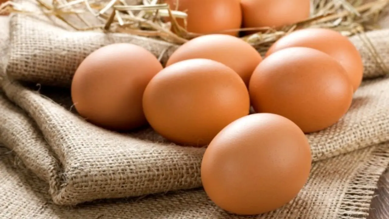 کاهش 300 تومانی نرخ تخم مرغ در بازار/کمبودی در عرضه تخم مرغ داخل نداریم
