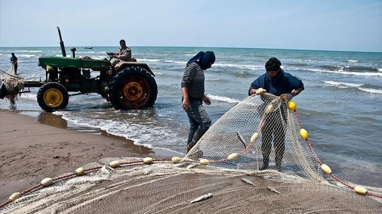 فصل صید ماهیان استخوانی از 15 مهر در دریای خزر آغاز می‌شود‌