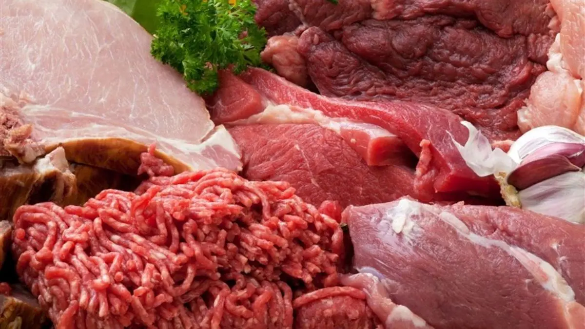 تامین هزار تن گوشت مورد نیاز دانشگاه‌های دولتی