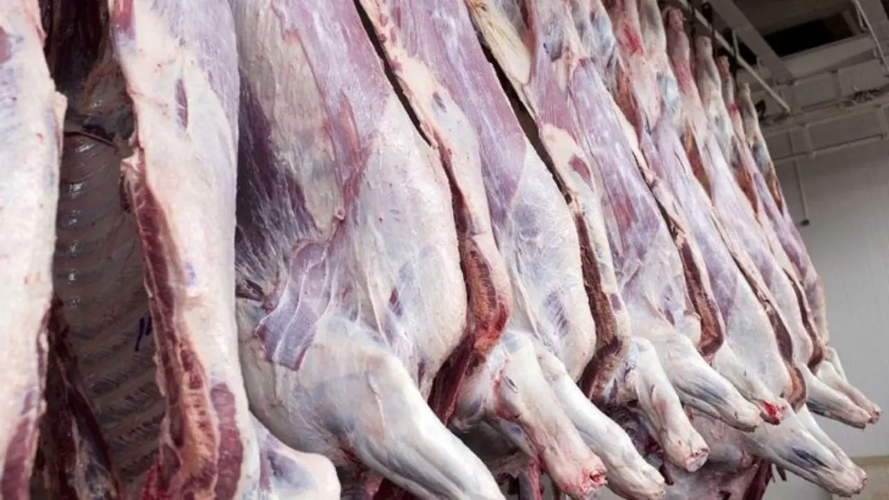 محموله گوشت وارداتی در گمرک متوقف شده است