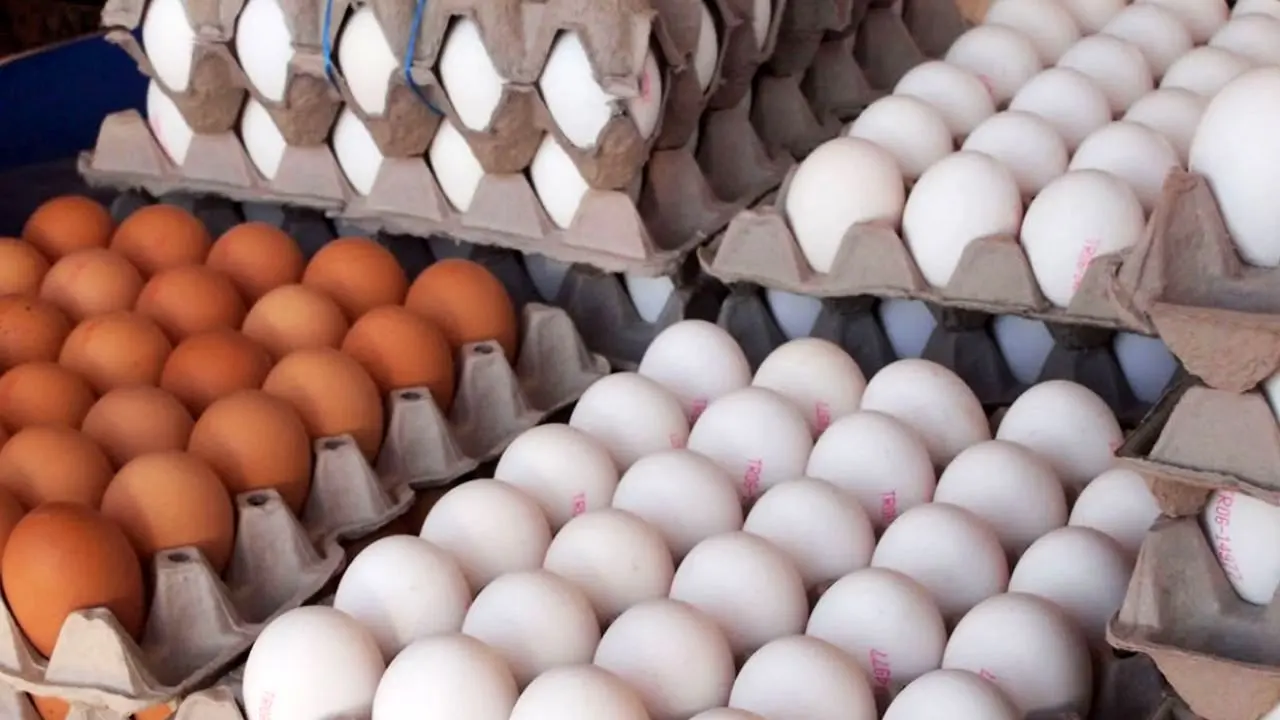 ثبات نرخ تخم مرغ در بازار/اختلالات حمل و نقل برای مرغداران دردسرساز شد
