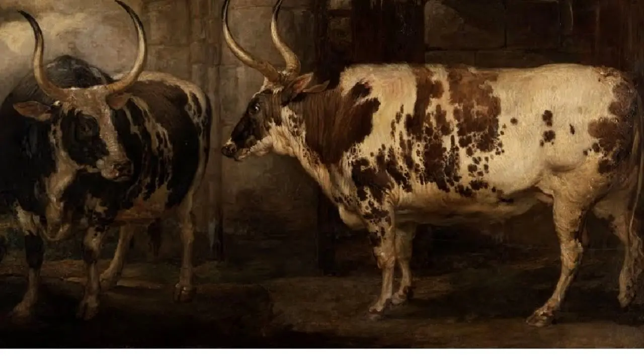 هنر روز، پرتره‌ای از دو گاو