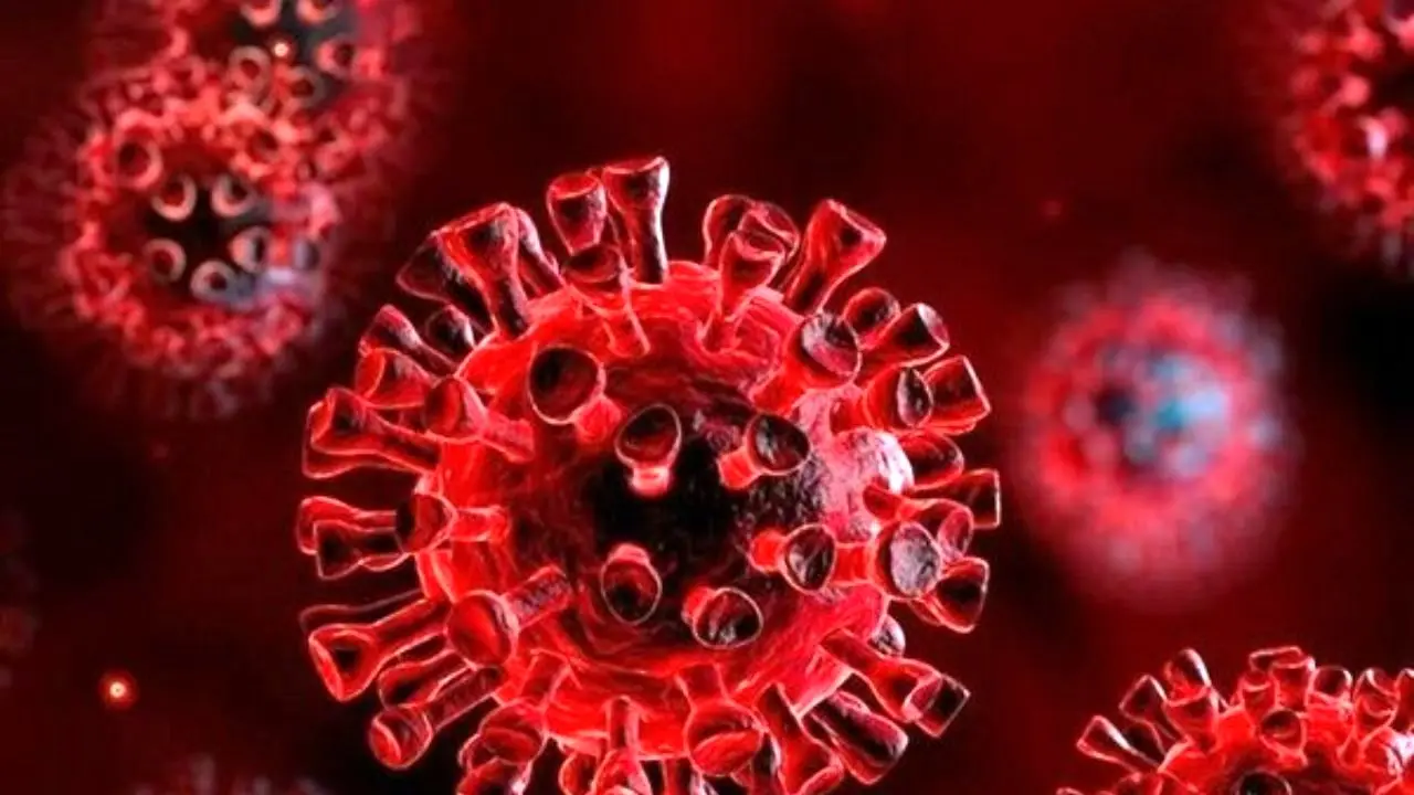 انتقال ویروس هندی و بروز علائم در چند ساعت رخ می‌دهد