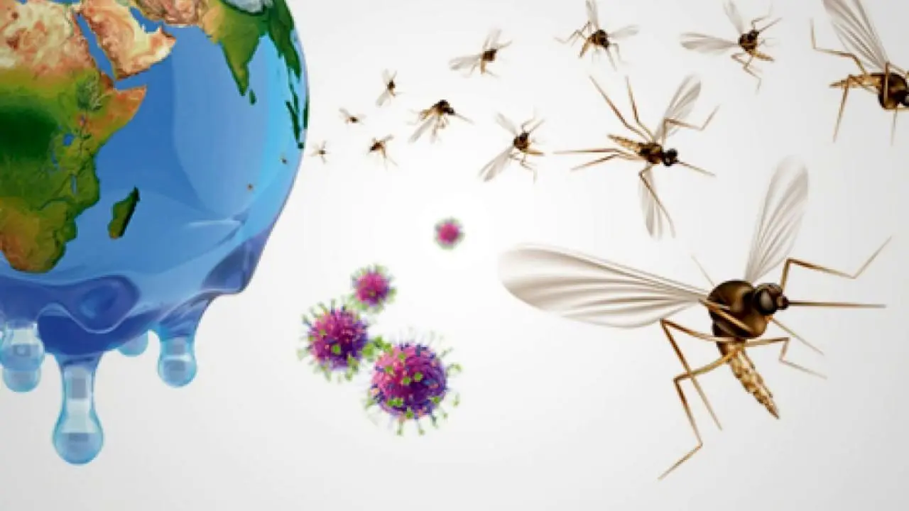 تغییرات آب و هوایی جهان را با خطر مالاریا و تب دنگی مواجه می کند