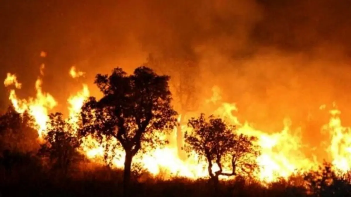 آتش‌سوزی منطقه حفاظت‌شده هلن چهارمحال و بختیاری مهار شد