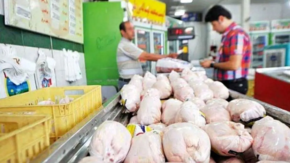 انحراف در شبکه توزیع گوشت مرغ/چرا قیمت در بازار چند برابر می‌شود؟