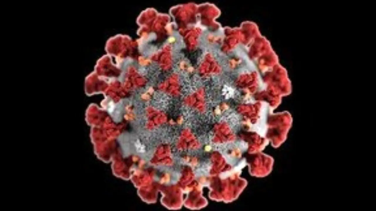 کرونا ویروس است نه میکروب / درصد بالای بیماران کرونایی بصورت خانوادگی به کرونا مبتلا می شوند / مردم هر نوع واکسن کرونا که در دسترس است تزریق کنند