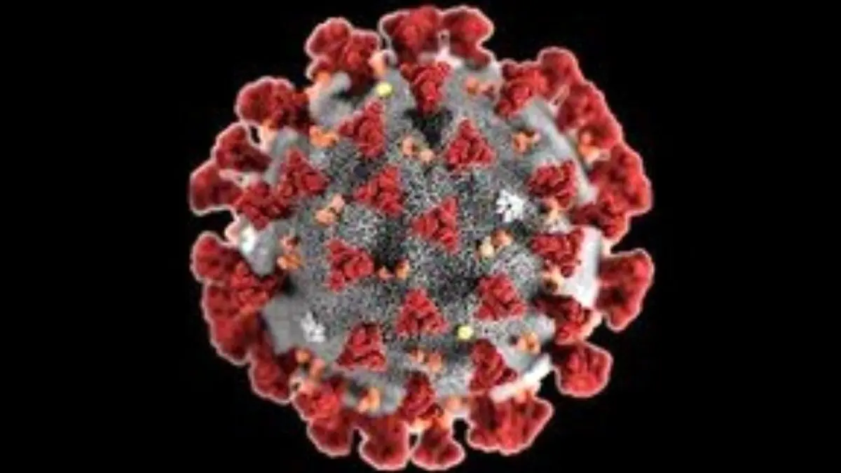 کرونا ویروس است نه میکروب / درصد بالای بیماران کرونایی بصورت خانوادگی به کرونا مبتلا می شوند / مردم هر نوع واکسن کرونا که در دسترس است تزریق کنند