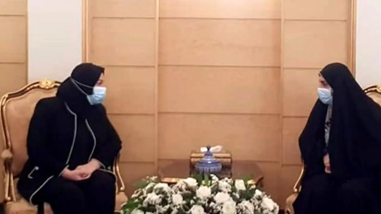 رئیس پارلمان اقلیم کردستان وارد تهران شد