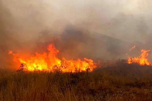 مهار آتش سوزی در 20 هکتار از علفزارهای شهر رشت پس از 6 ساعت