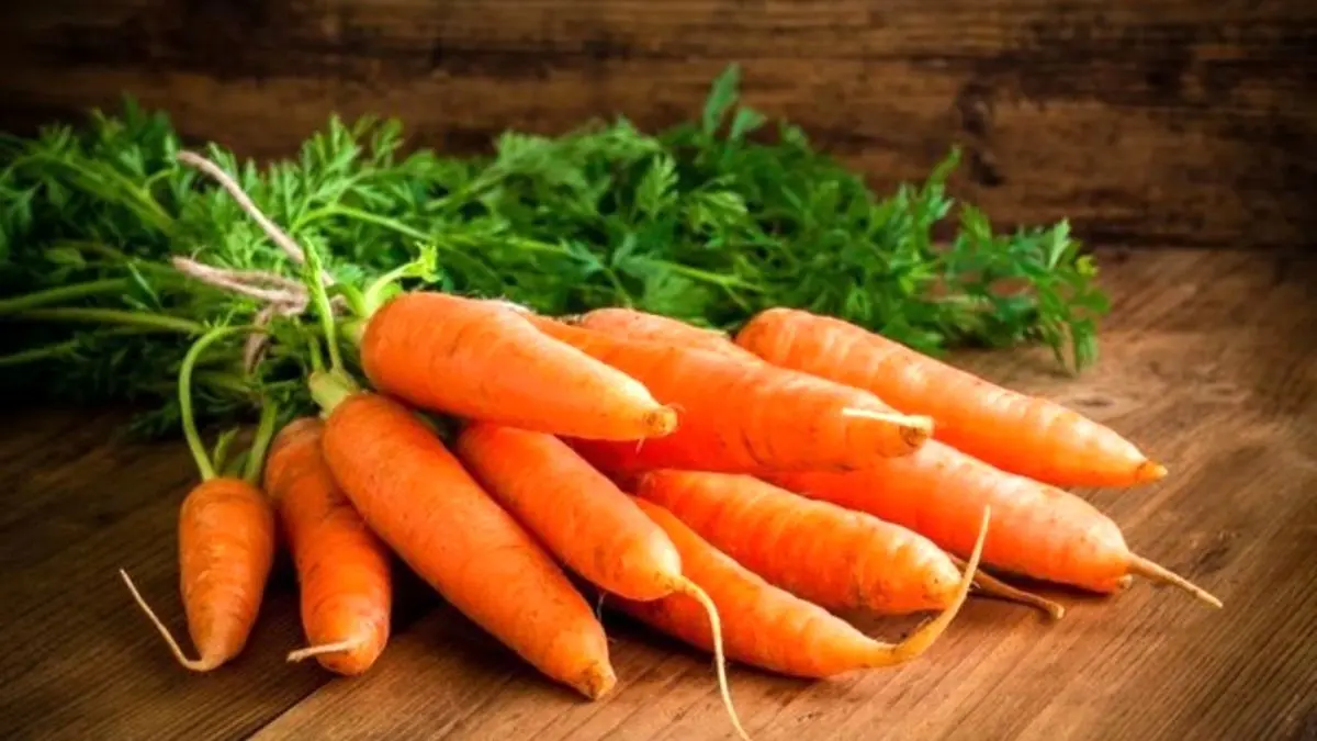 توزیع هویج زیر 10 هزار تومان تا هفته آینده