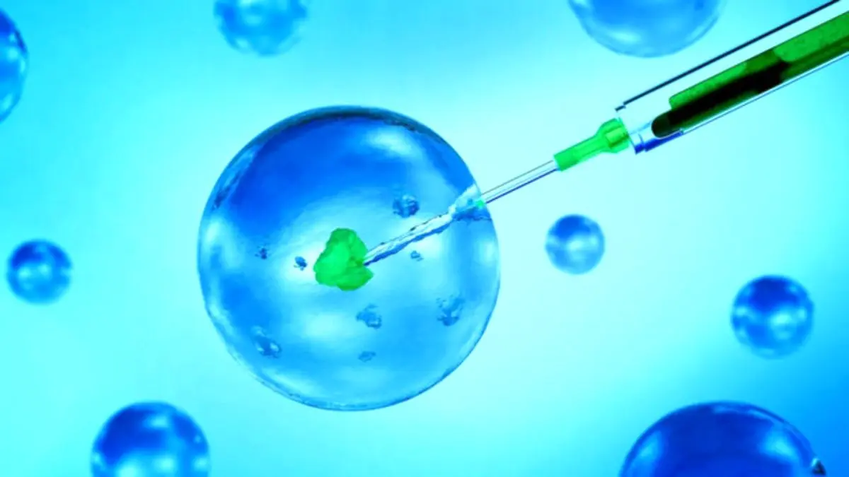 زنان باردار واکسن سینوفارم تزریق کنند