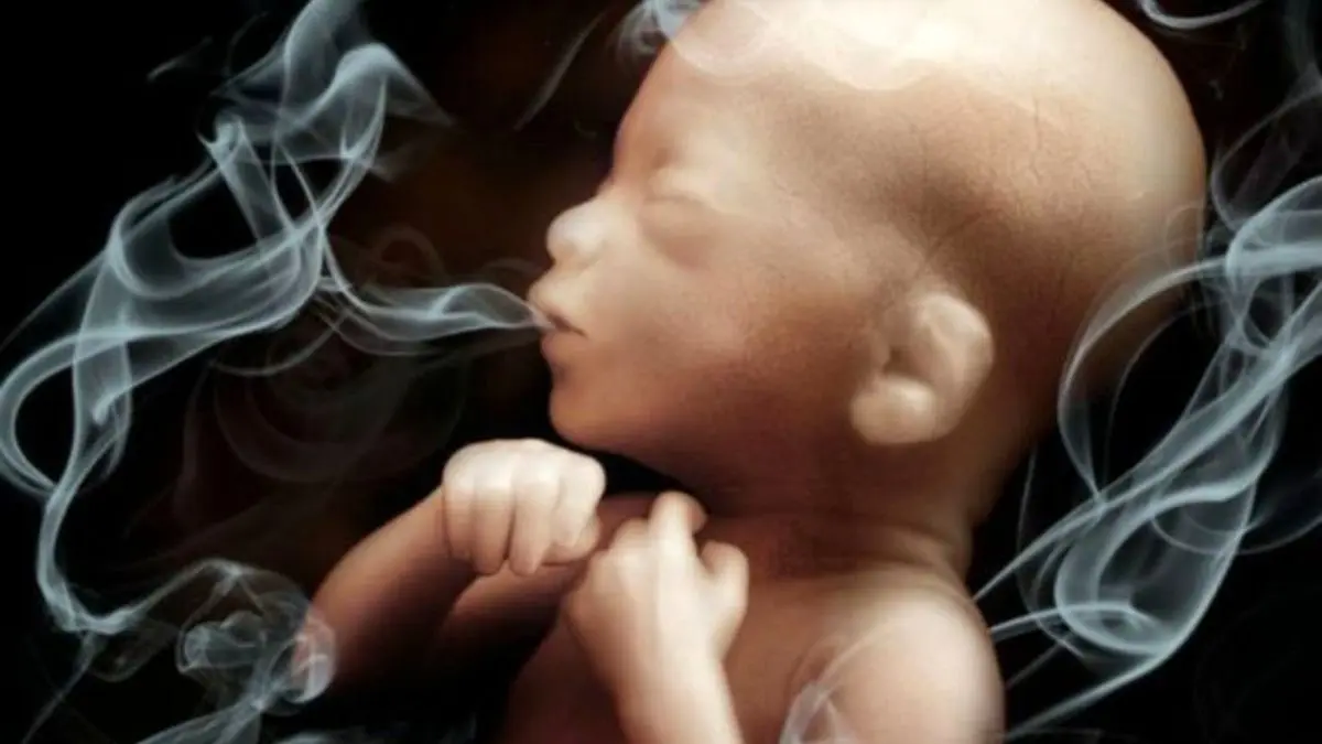 دور دنیا| افراد سیگاری باعث عقیم شدن فرزندان پسر خود می‌شوند؟