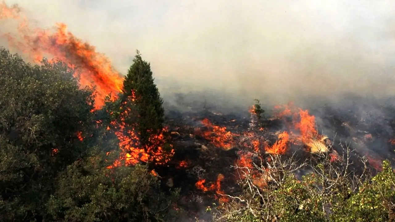 آتش در سایت گوزن زرد ایرانی / حریق جنگل‌های کرخه