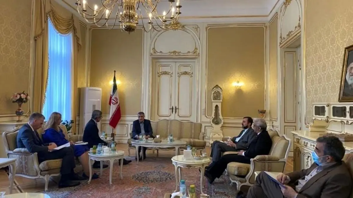 دیدار رئیس سازمان انرژی اتمی ایران با دبیر کل وزارت خارجه اتریش