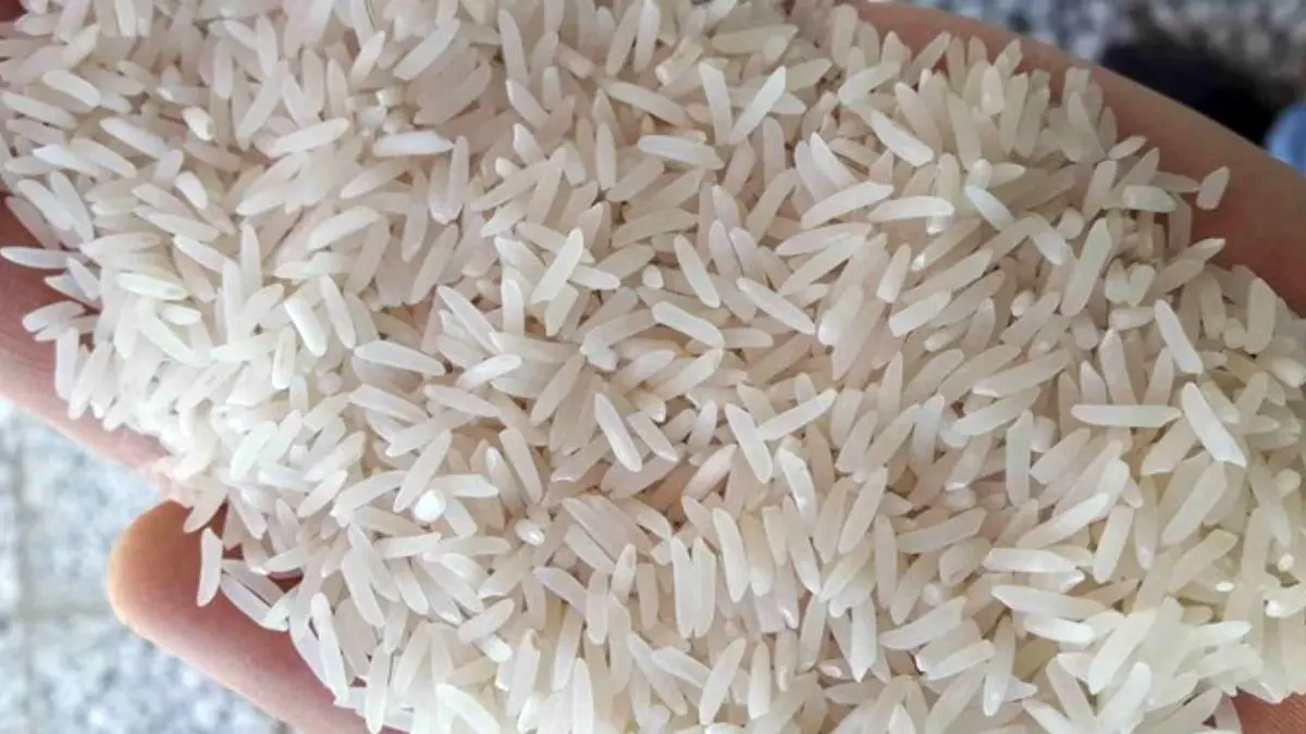 افزایش بیش از 40 درصدی قیمت برنج داخلی
