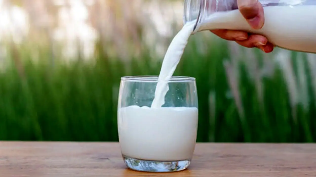 مصرف شیر در ایران نسبت به میانگین جهانی 30 درصد کمتر است