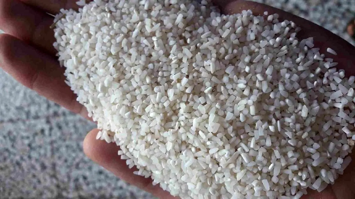 ممنوعیت خروج شالی از خوزستان بازار برنج را متشنج می کند/ قیمت هر کیلو برنج طارم 42 هزار تومان