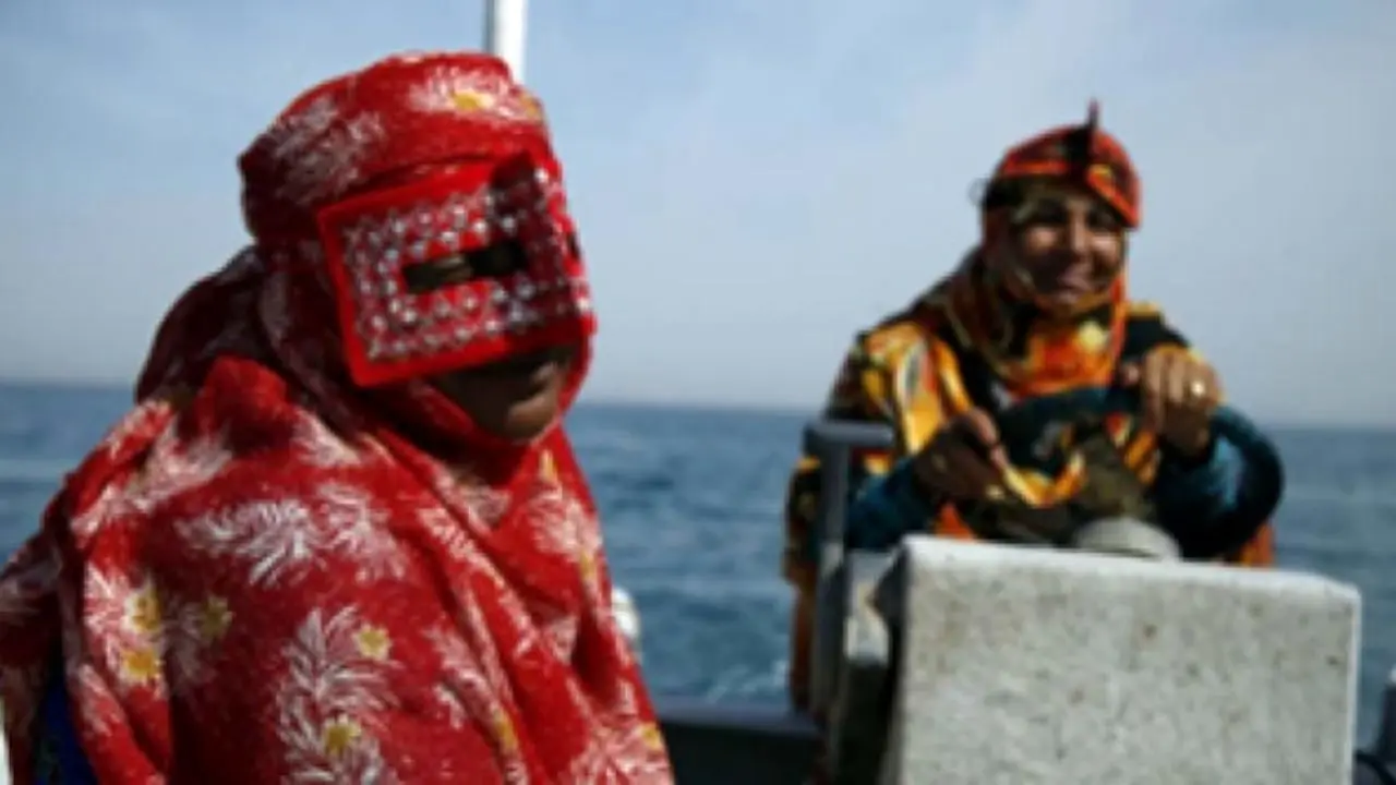 محدودیتی برای صید زنان در جزیره هنگام وجود ندارد/آنها خود با یکدیگر به توافق نمی‌رسند