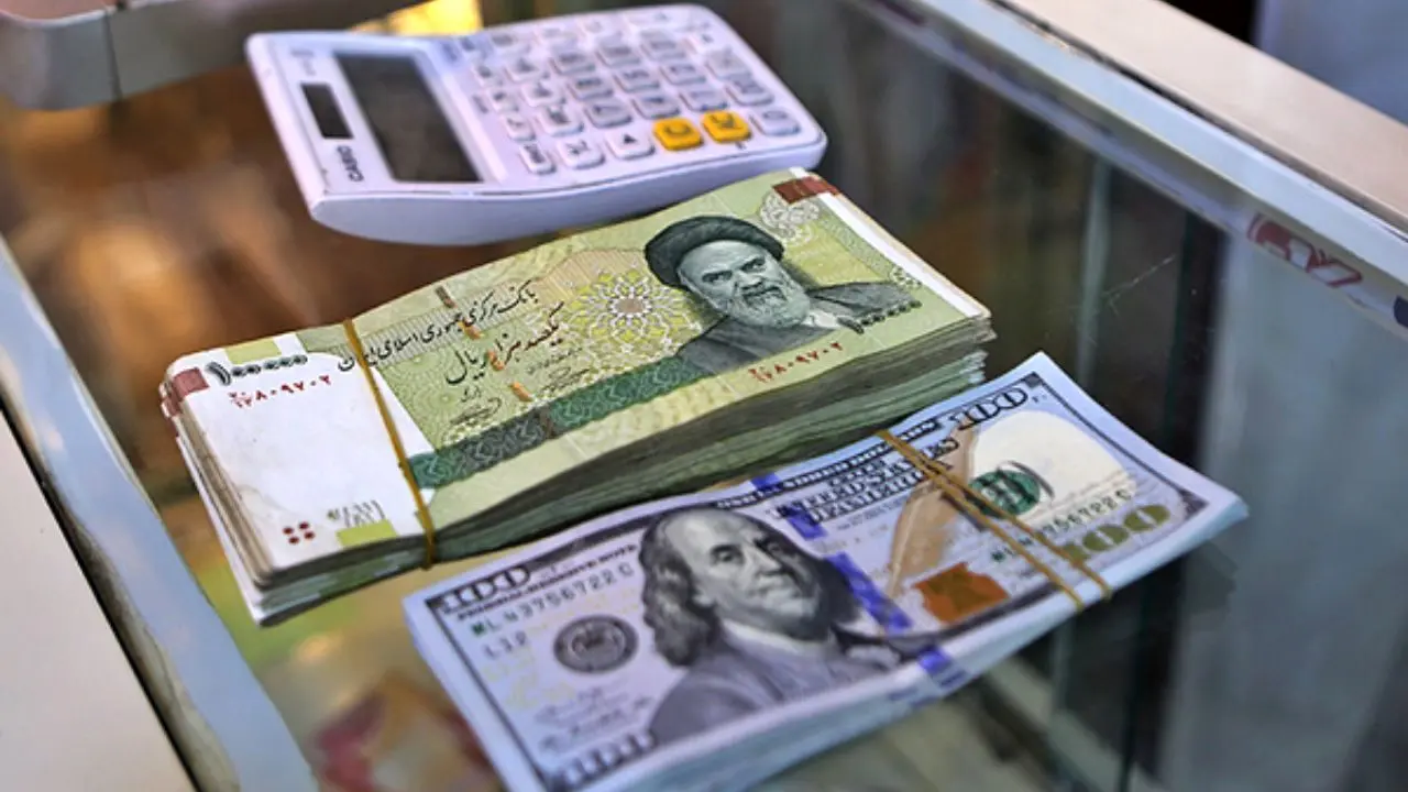 حذف دلار از اقتصاد ایران در عمل ممکن نیست/ فعلا ارزش پول ملی را بالا ببریم/ ثبت سفارش به دلار از سال 96 ممنوع است