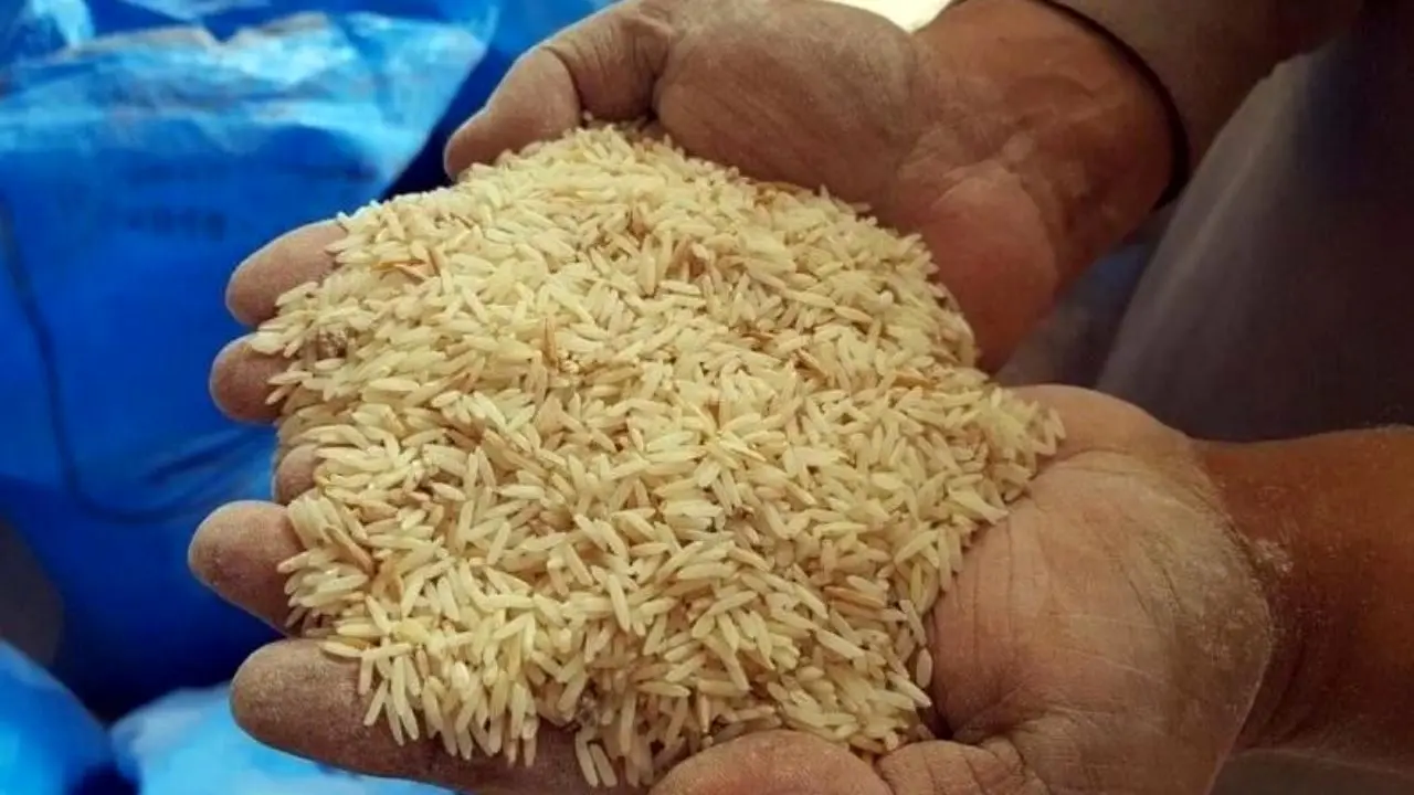 دلایل معطلی 13 هزار تن برنج در گمرک/ بخش خصوصی امکان واردات از تایلند را ندارد/ تامین 85 درصد کسری برنج کشور از هند
