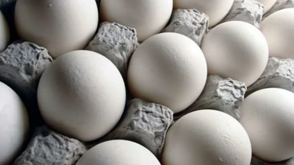 قیمت تخم مرغ در میادین 43 هزار تومان است