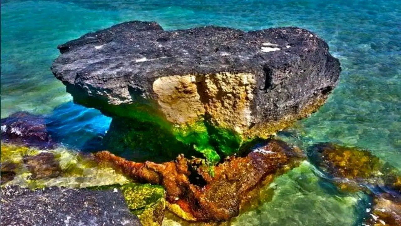 توسعه گردشگری دریایی عزم ملی می‌خواهد/ حفظ زیست و تفریح در جزایر